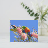 Rainbow Lorikeet Briefkaart (Staand voorkant)