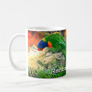 Rainbow Lorikeet Floral Natuur Foto Koffiemok