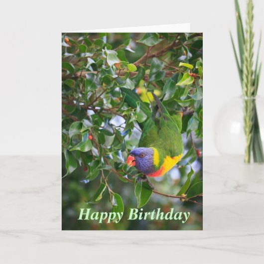 Rainbow Lorikeet Happy Birthday Wenskaart Kaart (Voorkant)