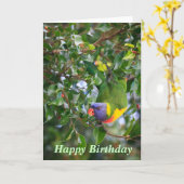 Rainbow Lorikeet Happy Birthday Wenskaart Kaart (Gele Bloem)