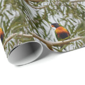 RAINBOW LORIKEET IN TREE QUEENSLAND AUSTRALIË CADEAUPAPIER (Rol Hoek)