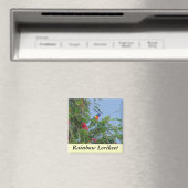 Rainbow Lorikeet Magneet (Insitu (Vaatwasser))