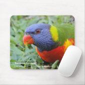 Rainbow Lorikeet Muismat (Met muis)