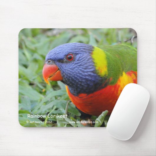 Rainbow Lorikeet Muismat (Met muis)