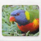 Rainbow Lorikeet Muismat (Voorkant)