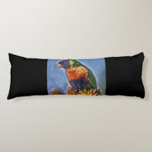 Rainbow Lorikeet Parrot Bird