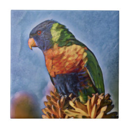 Rainbow Lorikeet Parrot Bird Tegeltje