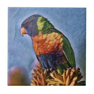 Rainbow Lorikeet Parrot Bird Tegeltje