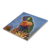 Rainbow Lorikeet Parrot Bird Tegeltje (Zijkant)