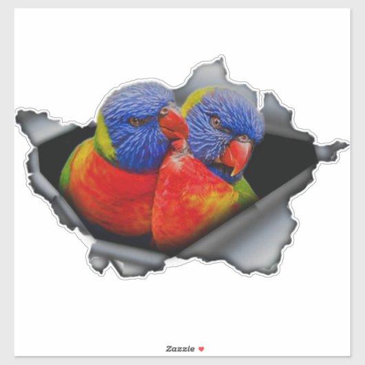 Rainbow Lorikeet Parrot Sticker – Vibrant Bird  (Vel)