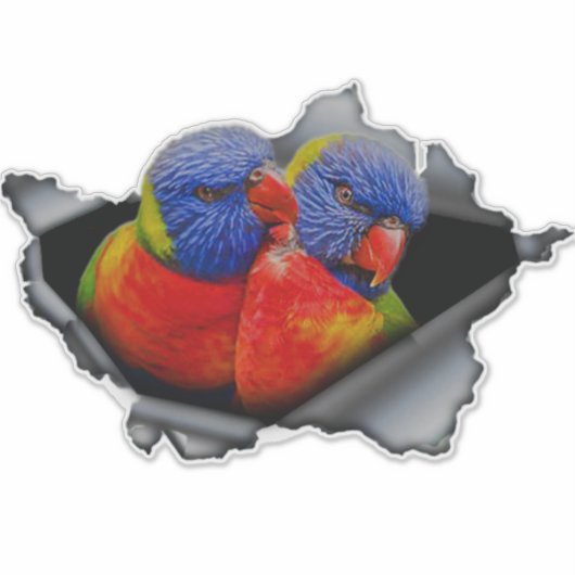 Rainbow Lorikeet Parrot Sticker – Vibrant Bird (Voorkant)