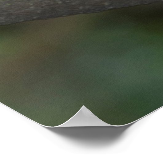 Rainbow Lorikeet Portrait Poster (Hoek)