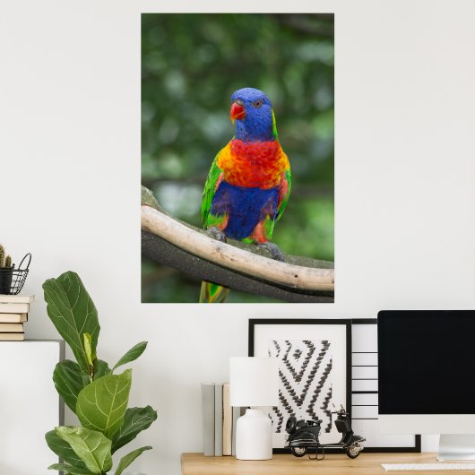 Rainbow Lorikeet Portrait Poster (Thuiskantoor)