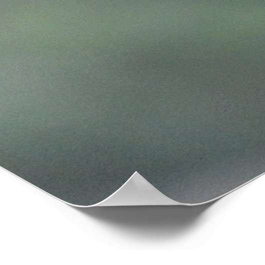 Rainbow Lorikeet Poster (Hoek)