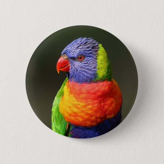 Rainbow Lorikeet Ronde Button 5,7 Cm (Voorkant)