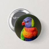 Rainbow Lorikeet Ronde Button 5,7 Cm (Voorkant /achterkant)