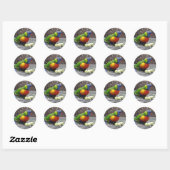 Rainbow Lorikeet Ronde Sticker (Vel)