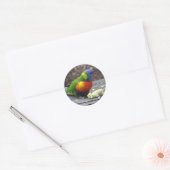 Rainbow Lorikeet Ronde Sticker (Envelop)