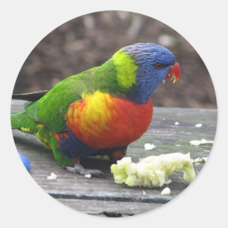 Rainbow Lorikeet Ronde Sticker