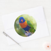 Rainbow Lorikeet Ronde Sticker (Envelop)