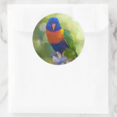 Rainbow Lorikeet Ronde Sticker (Tas)