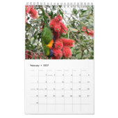 RAINBOW LORIKEET RURAL QUEENSLAND AUSTRALIË KALENDER (Feb 2027)