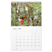 RAINBOW LORIKEET RURAL QUEENSLAND AUSTRALIË KALENDER (Jan 2027)