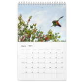 RAINBOW LORIKEET RURAL QUEENSLAND AUSTRALIË KALENDER (Mar 2027)