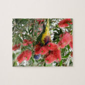 RAINBOW LORIKEET RURAL QUEENSLAND AUSTRALIË LEGPUZZEL (Horizontaal)