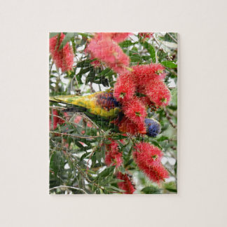 RAINBOW LORIKEET RURAL QUEENSLAND AUSTRALIË LEGPUZZEL