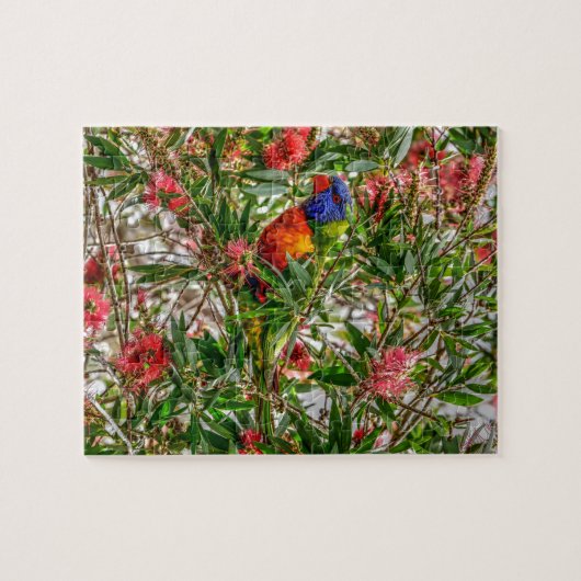 RAINBOW LORIKEET RURAL QUEENSLAND AUSTRALIË LEGPUZZEL (Horizontaal)