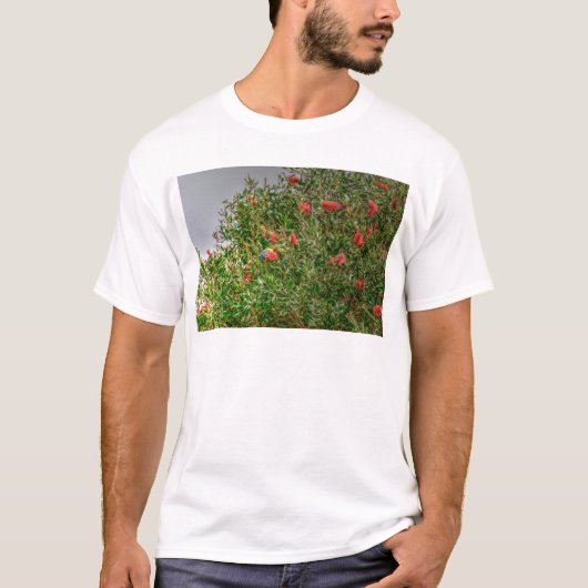 RAINBOW LORIKEET RURAL QUEENSLAND AUSTRALIË T-SHIRT (Voorkant)