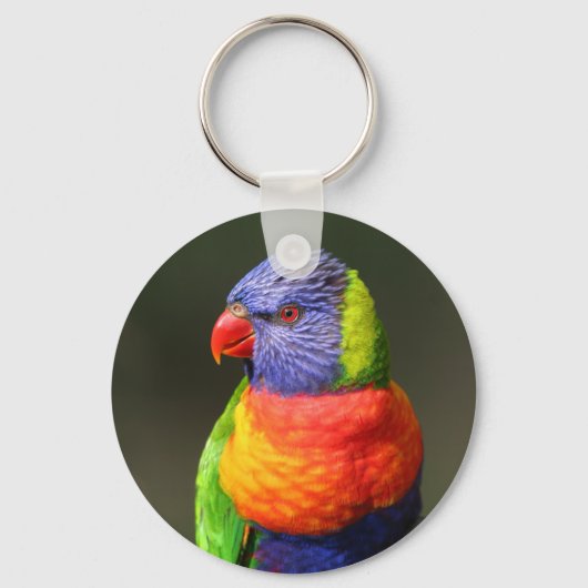 Rainbow Lorikeet Sleutelhanger (Voorkant)