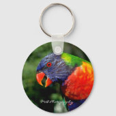 Rainbow Lorikeet Sleutelhanger (Voorkant)