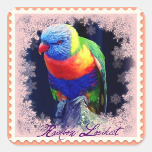 RAINBOW LORIKEET VIERKANTE STICKER