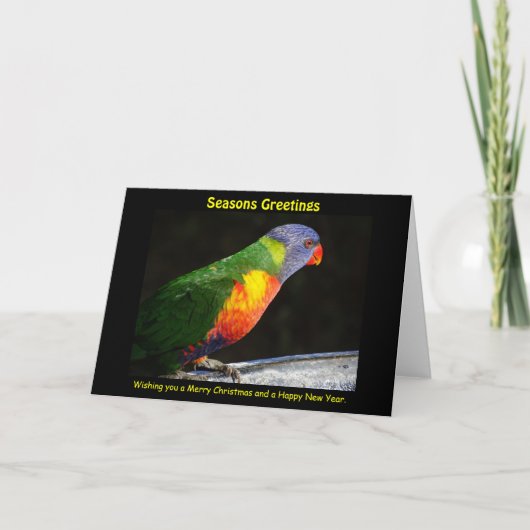 Rainbow Lorikeet Xmas Kaart (Voorkant)