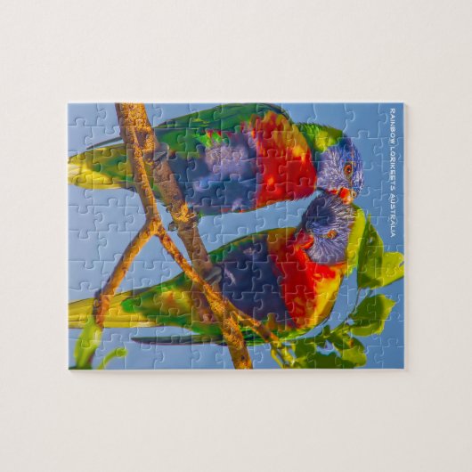 Rainbow Lorikeets Australië Legpuzzel (Horizontaal)
