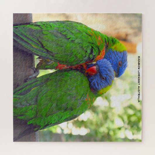 Rainbow Lorikeets Australië Legpuzzel (Horizontaal)