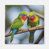 Rainbow Lorikeets Magneet (Voorkant)