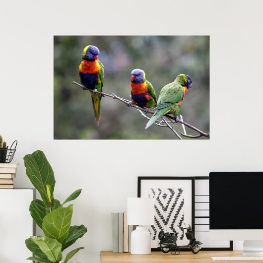 Rainbow Lorikeets Poster (Thuiskantoor)