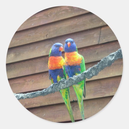 Rainbow Lorikeets Sticker (Voorkant)