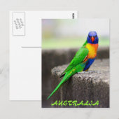 Rainbow Loriket, AUSTRALIË Briefkaart (Voorkant / Achterkant)