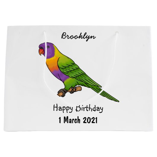 Rainbow loriket bird cartoon groot cadeauzakje (Voorkant)