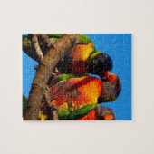 Rainbow Loriket jigzaagpuzzel Legpuzzel (Horizontaal)