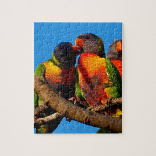 Rainbow Loriket jigzaagpuzzel Legpuzzel