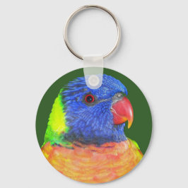 Rainbow Loriket Parrot Foto Sleutelhanger