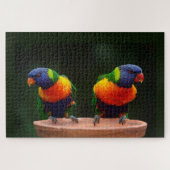 Rainbow Loriket Parrots Legpuzzel (Horizontaal)