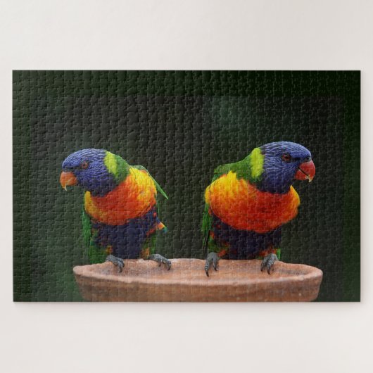 Rainbow Loriket Parrots Legpuzzel (Horizontaal)