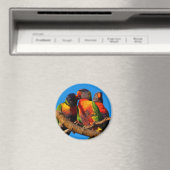 Rainbow Loriket round magnet (Insitu (Vaatwasser))