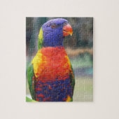 Rainbow Loriket (Trichoglossus haematodus 2) Legpuzzel (Verticaal)